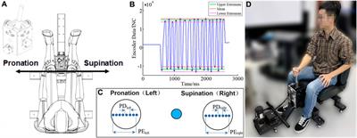 Muscle synergies in joystick manipulation